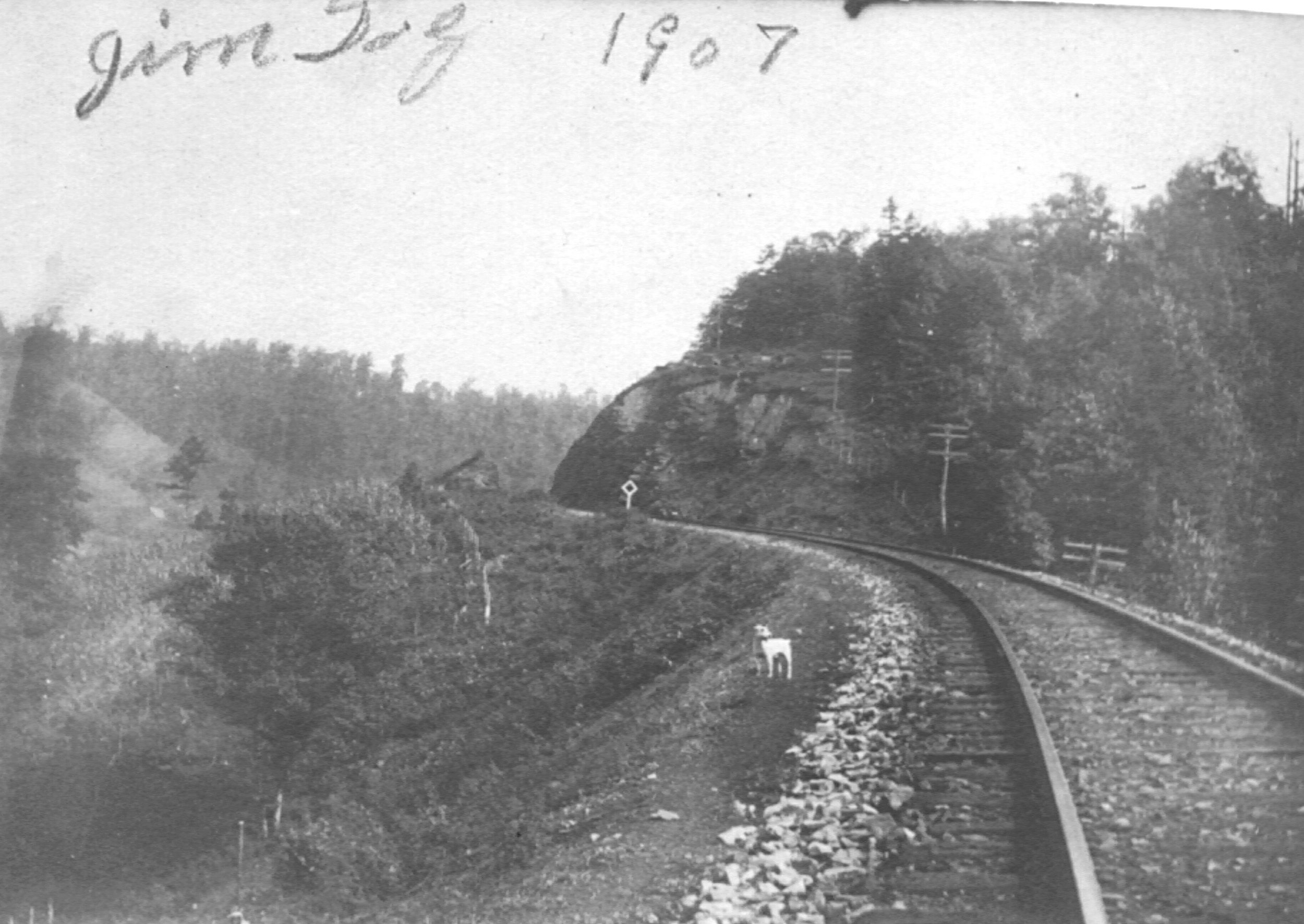 JimDog1907.jpg