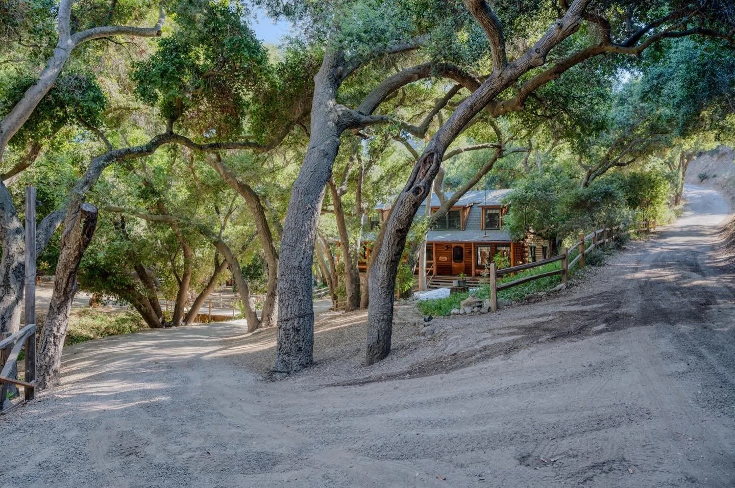 Natural light filtered through mature oaks.
A winding dirt road.
A cabin that feels discovered, not staged.

This location offers layered depth, consistent shade throughout the day, and a forest canopy that softens light beautifully. Ideal for premiu