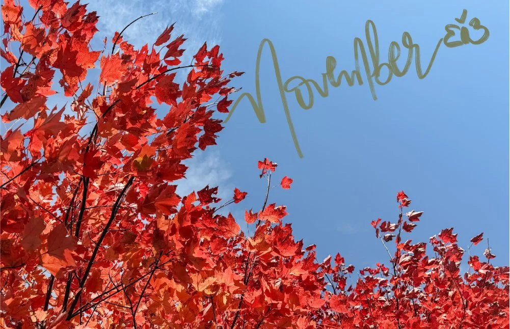 November. Recalibration. Alignment.