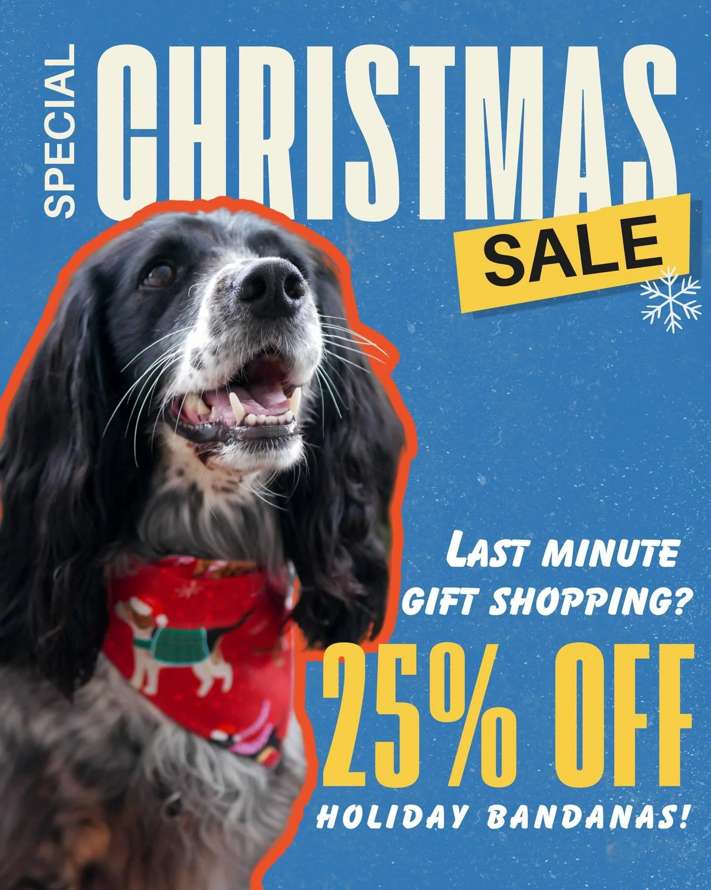 Are you struggling to find a last minute gift for the pet parents in your life? 

The Paw Project has you covered with 25% off our Holiday Collection! Better yet, if you&rsquo;re in Hamilton use code SANTASCOMING at check out for free overnight deliv