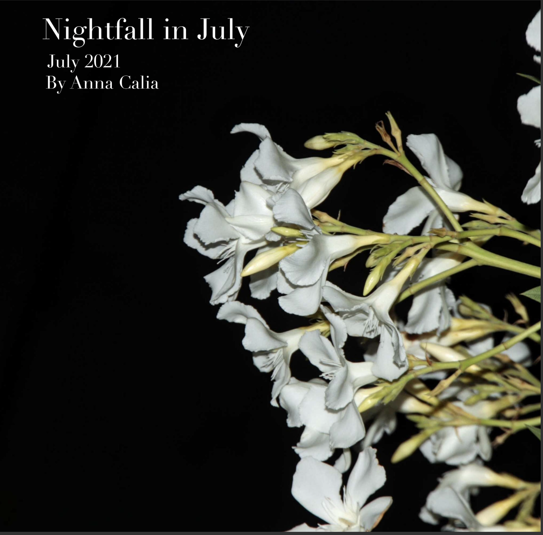 Screenshot 2025-12-16 at 3.32.44 PM.png