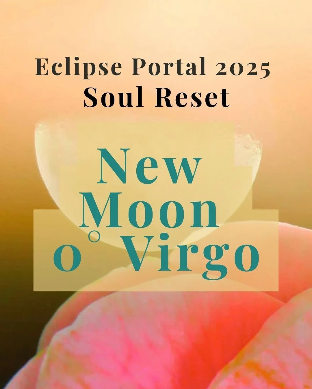 Eclipse Transit Readings are offered on a limited basis only twice per year to help you navigate the eclipse portal. 

Go to my website to book or link in bio! 

These sell out fast!! Comment with 🌙 emoji and I&rsquo;ll send you a booking link direc