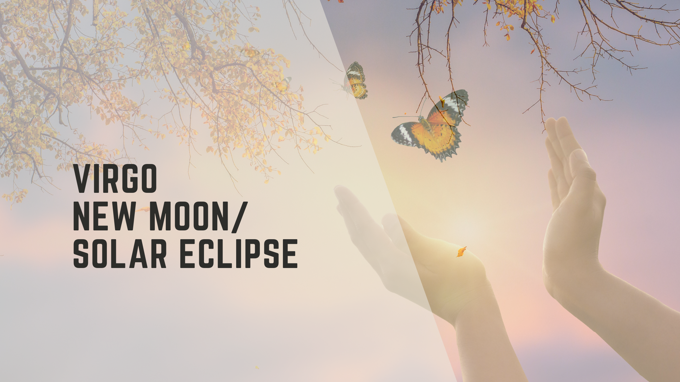 Cosmic Wisdom Video Covers.png