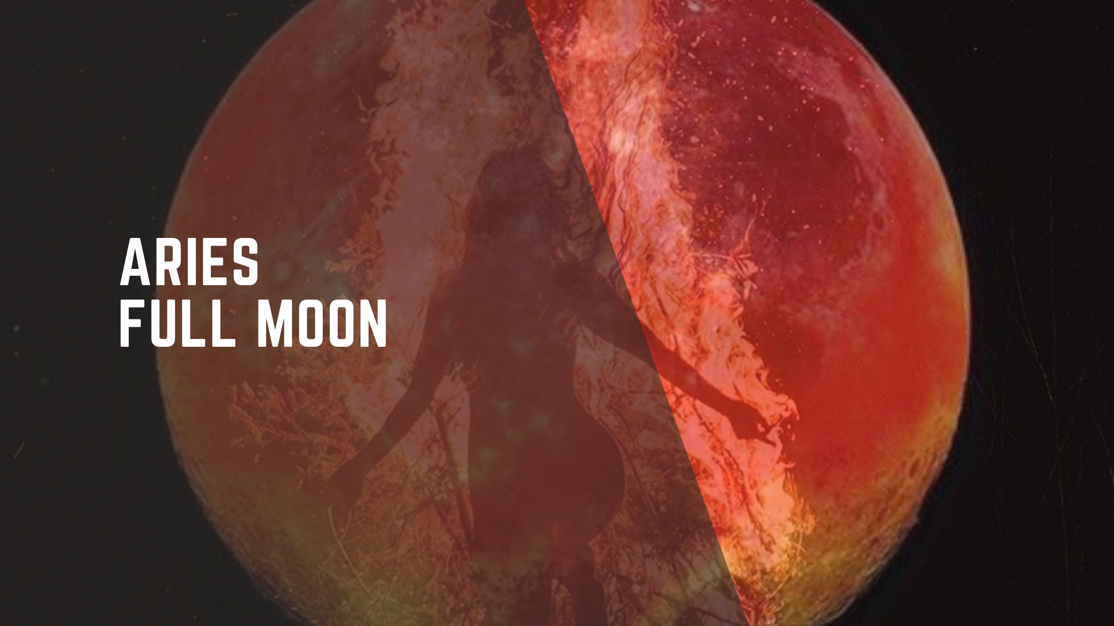Cosmic Wisdom Video Covers (4).png