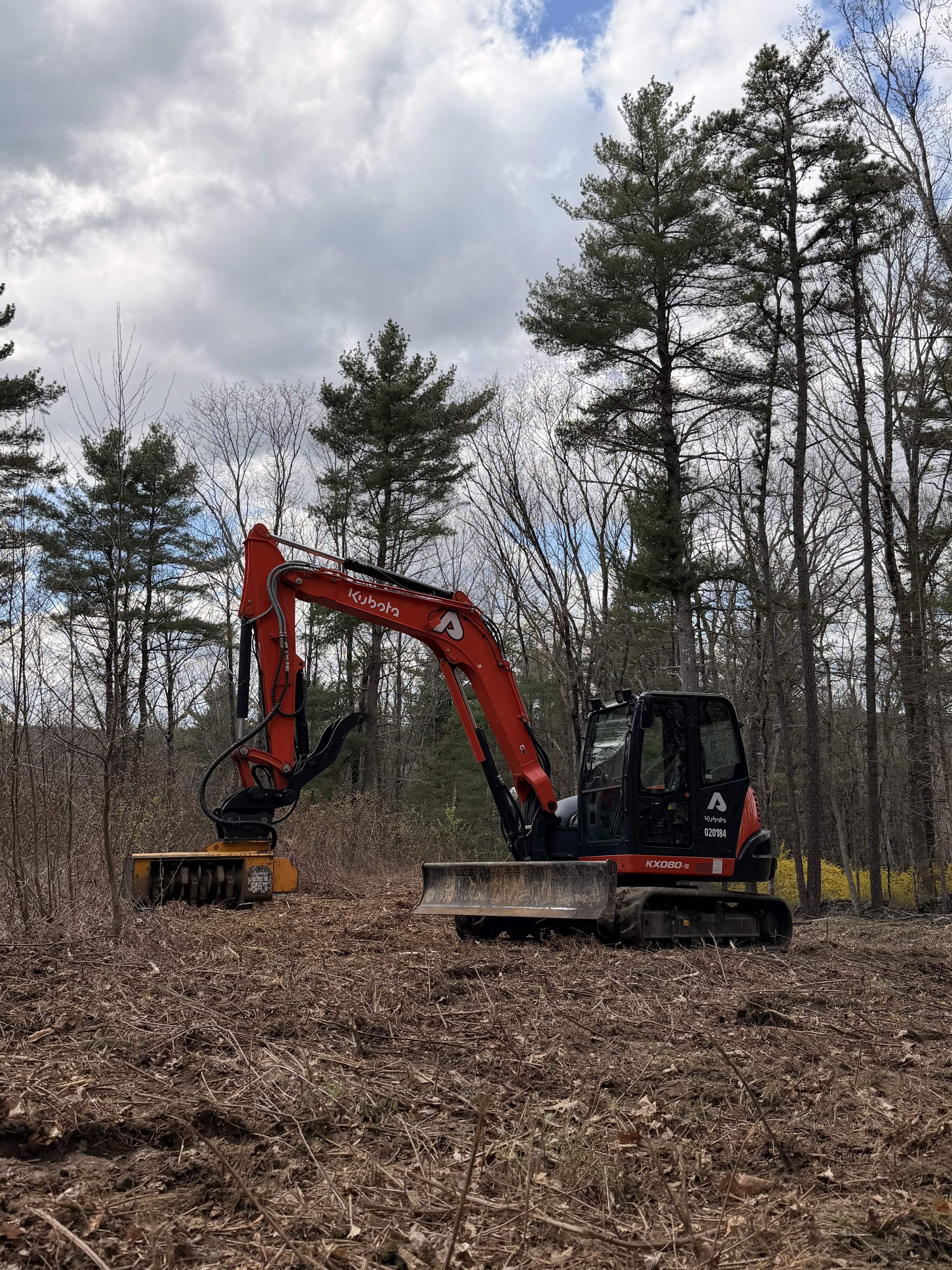 A red and black Kubota excavator is working on land clearing in a forested area with scattered trees and overcast sky.