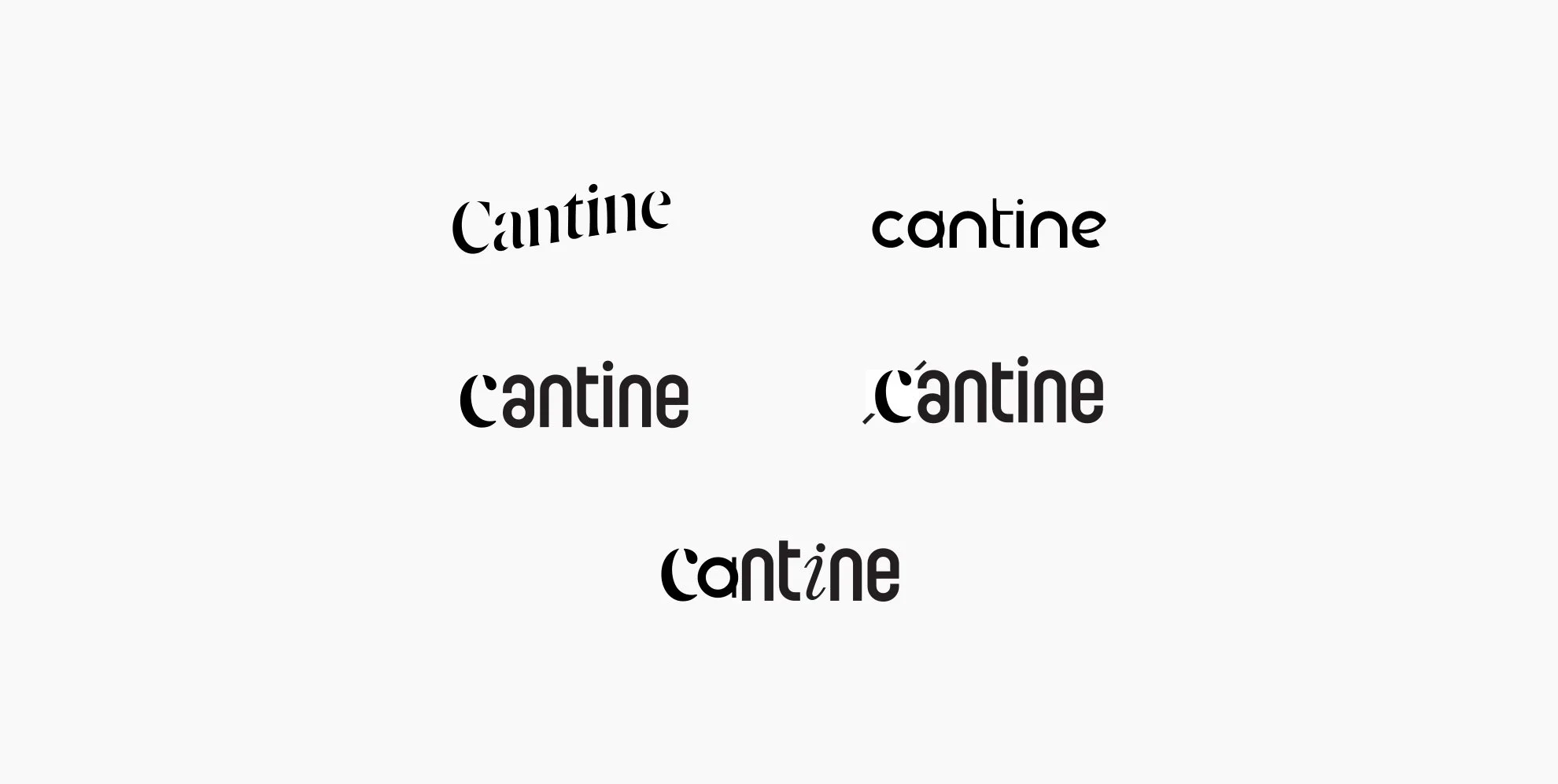 Different variations of the word 'Cantine' in various fonts and styles on a white background.
