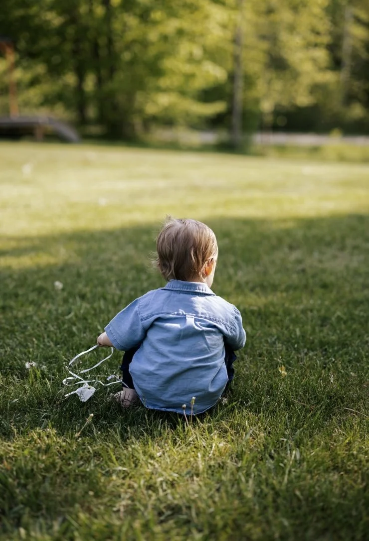 How the CMPA Operates