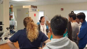 STEMworks™ College Connections