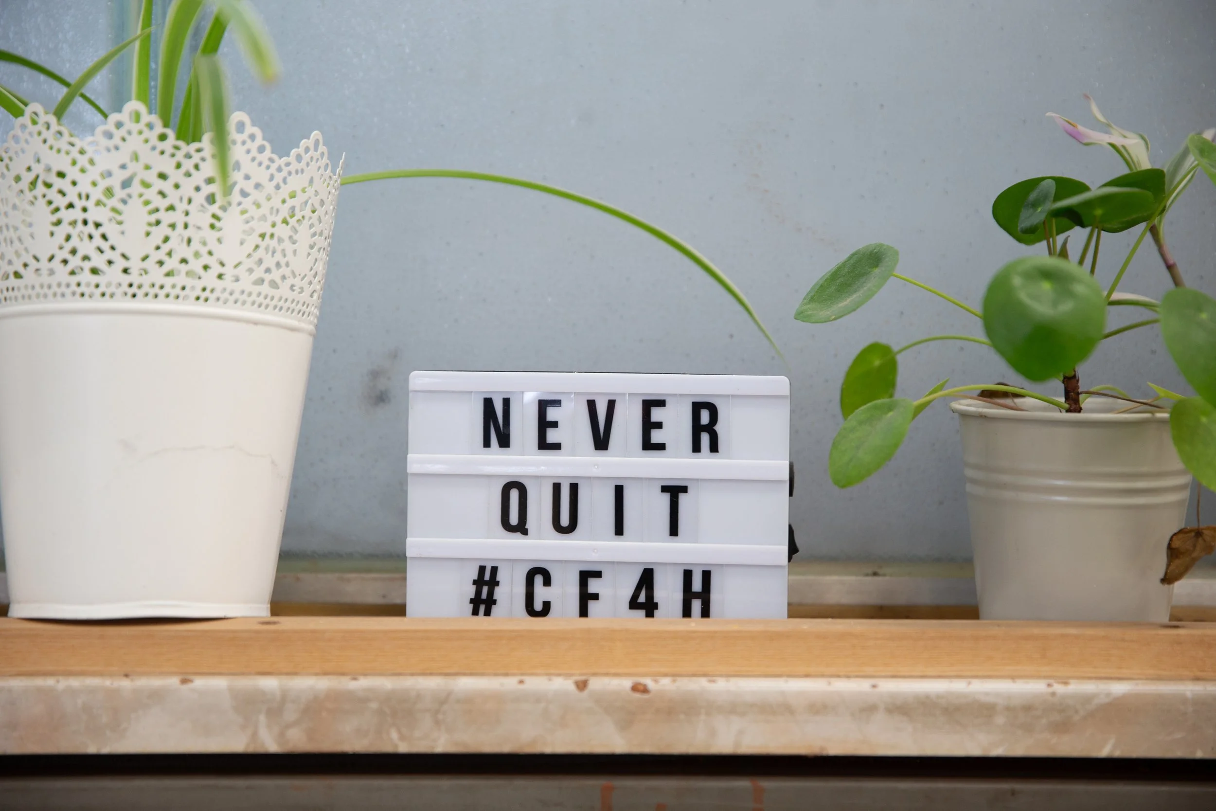 Four Horsemen Flohmarkt – Fitness Gear, Kleidung & Community