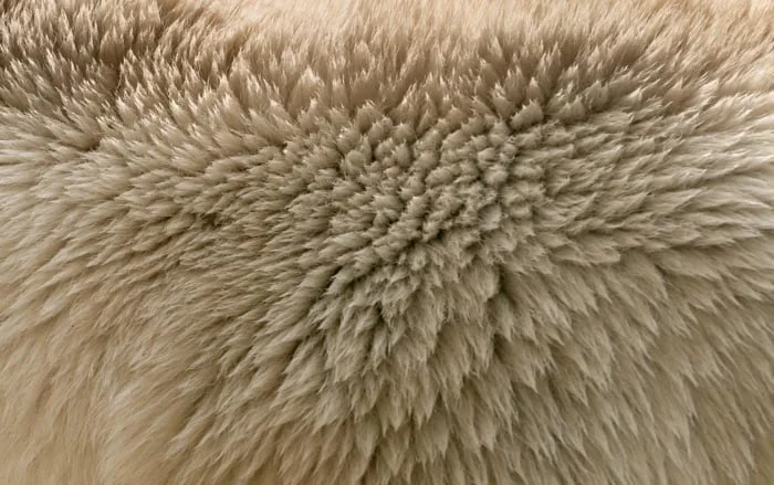 Bear Chair 