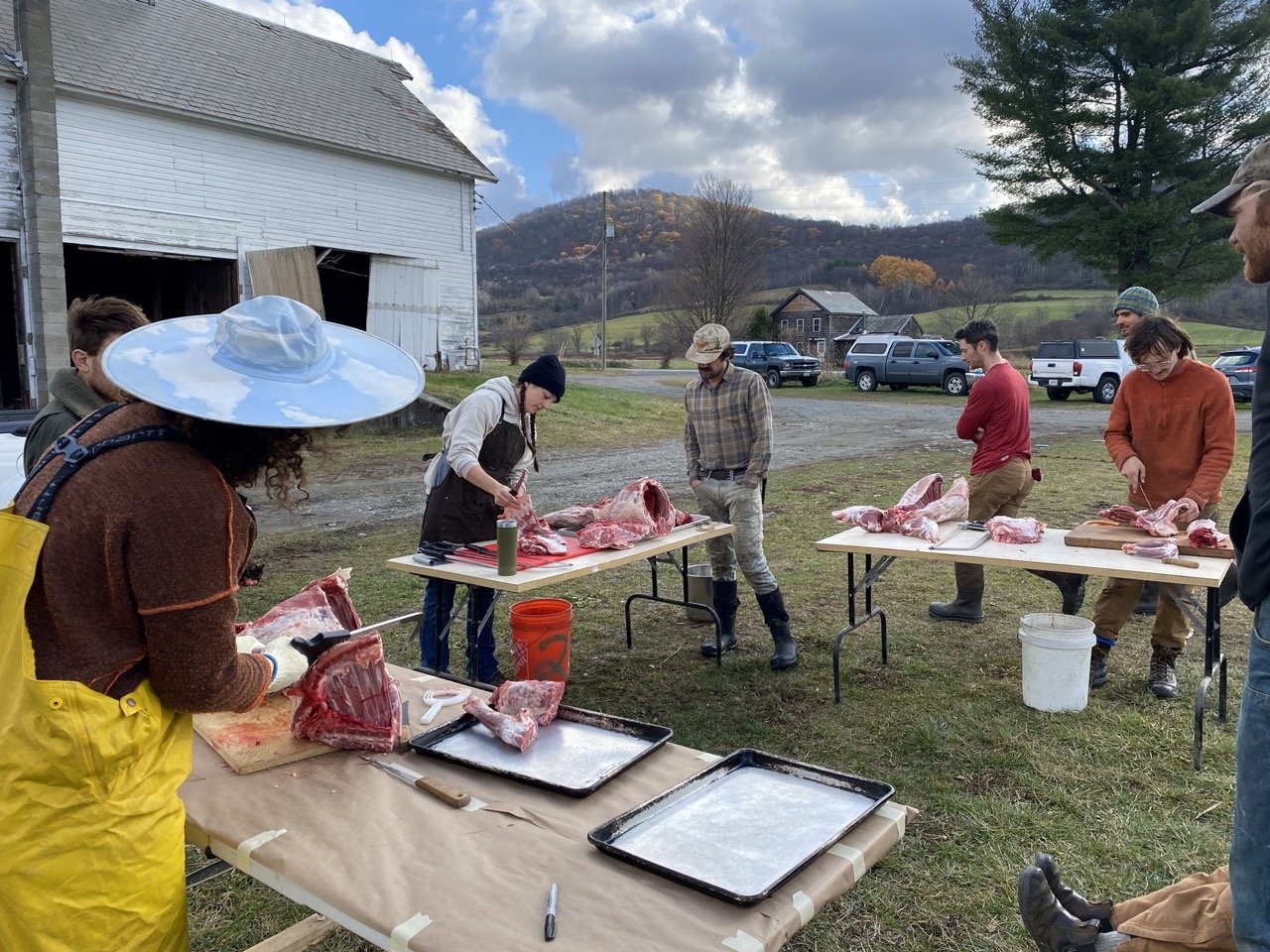 Group of people butchering carcasses outdoors on tables, with a barn, open fields, trees, and hills in the background.