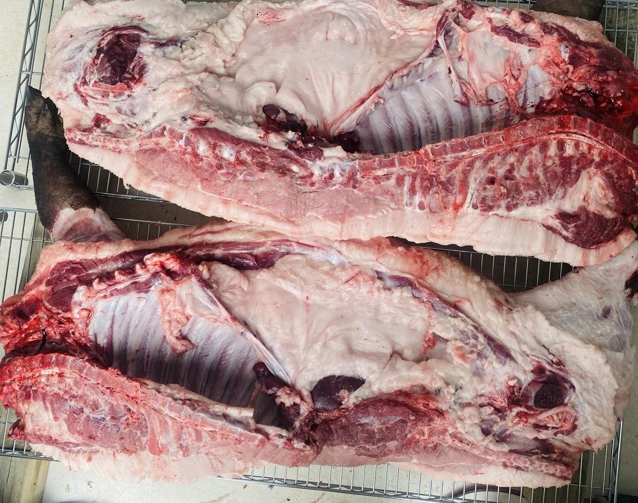 Three large beef carcasses with rib bones exposed, lying on a wire rack, ready for processing.
