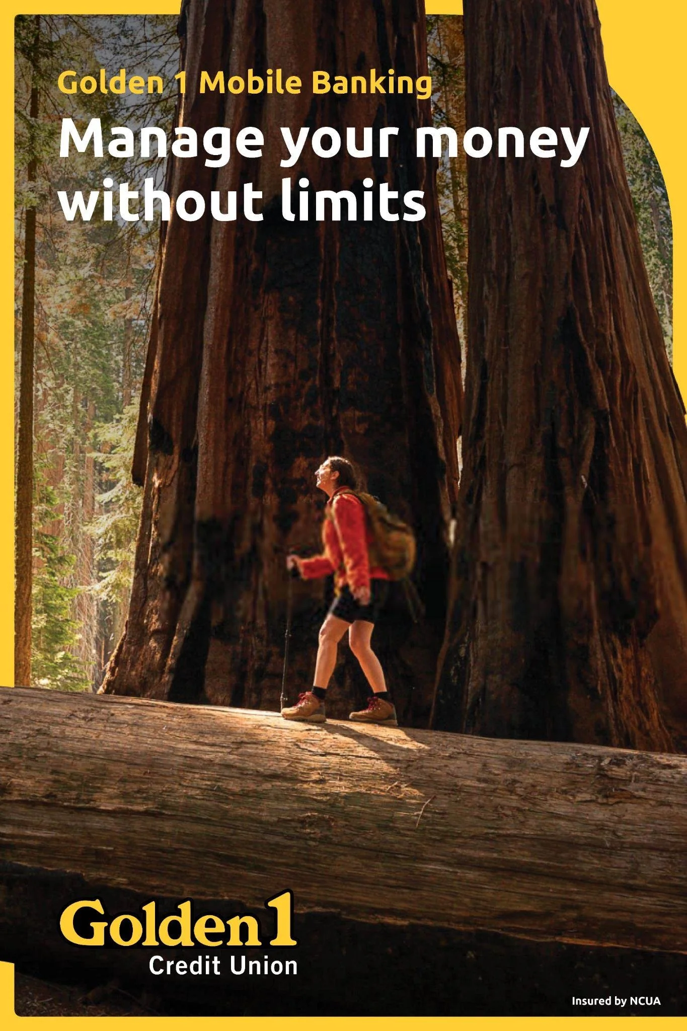 Advertisement for Golden 1 Credit Union Mobile Banking featuring a hiker in a red jacket walking on a large tree log in a forest with giant trees. Text reads: 'Manage your money without limits.'