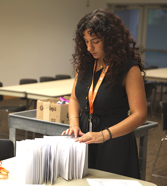 Art History Research