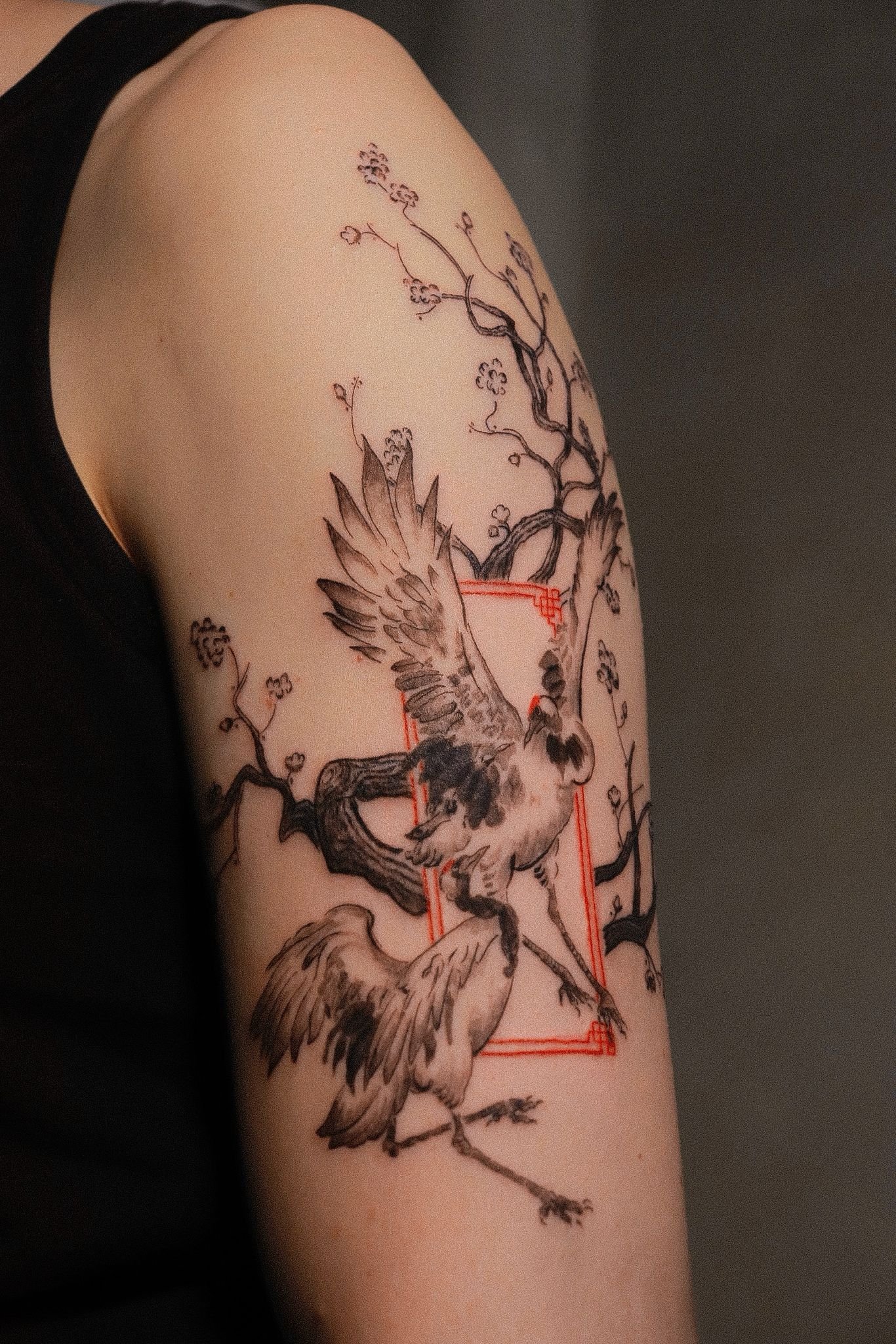Tattoo of a phoenix with spread wings on person's upper arm, with cherry blossom branches in the background.