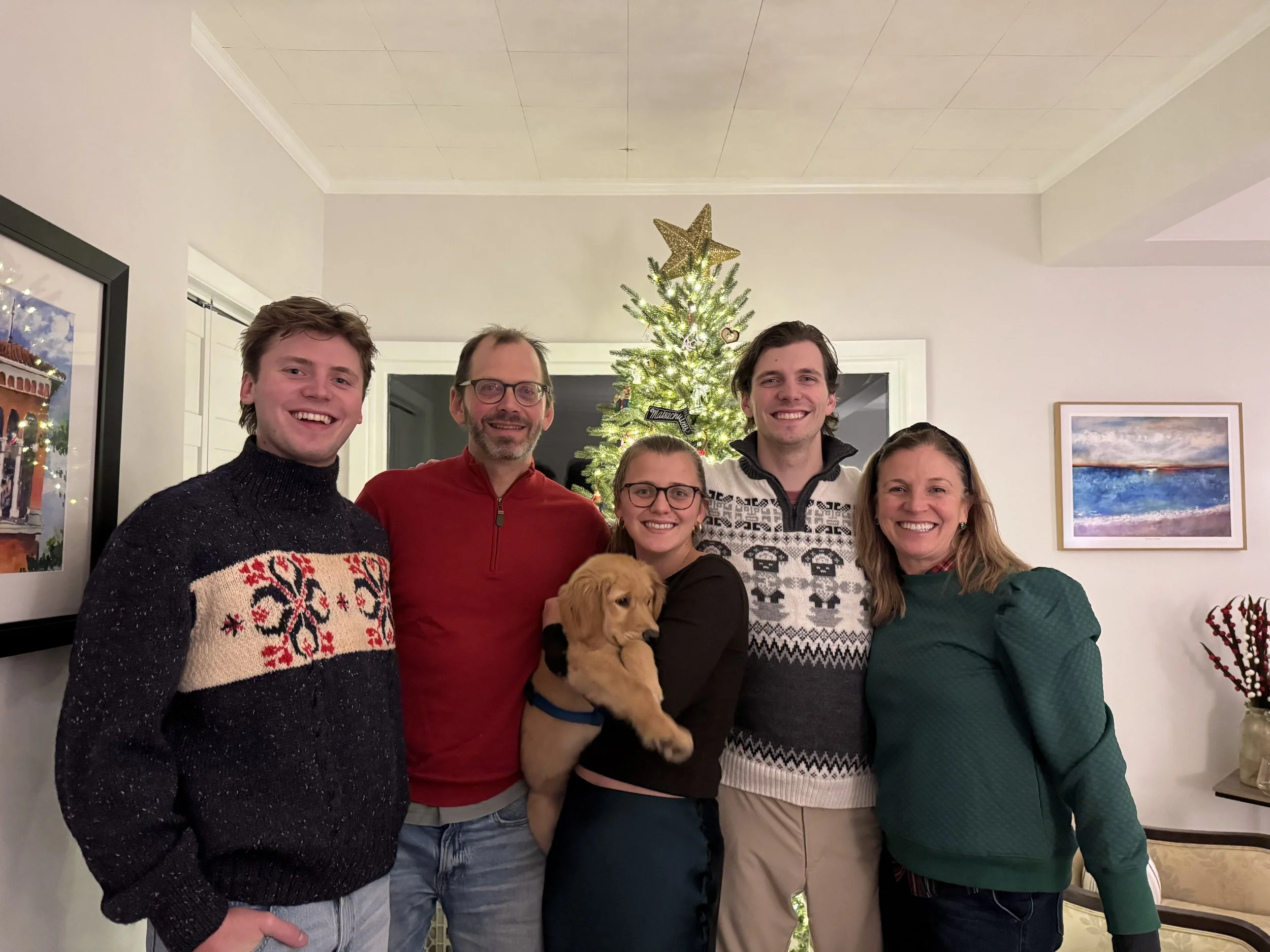 Falling Gently Into January