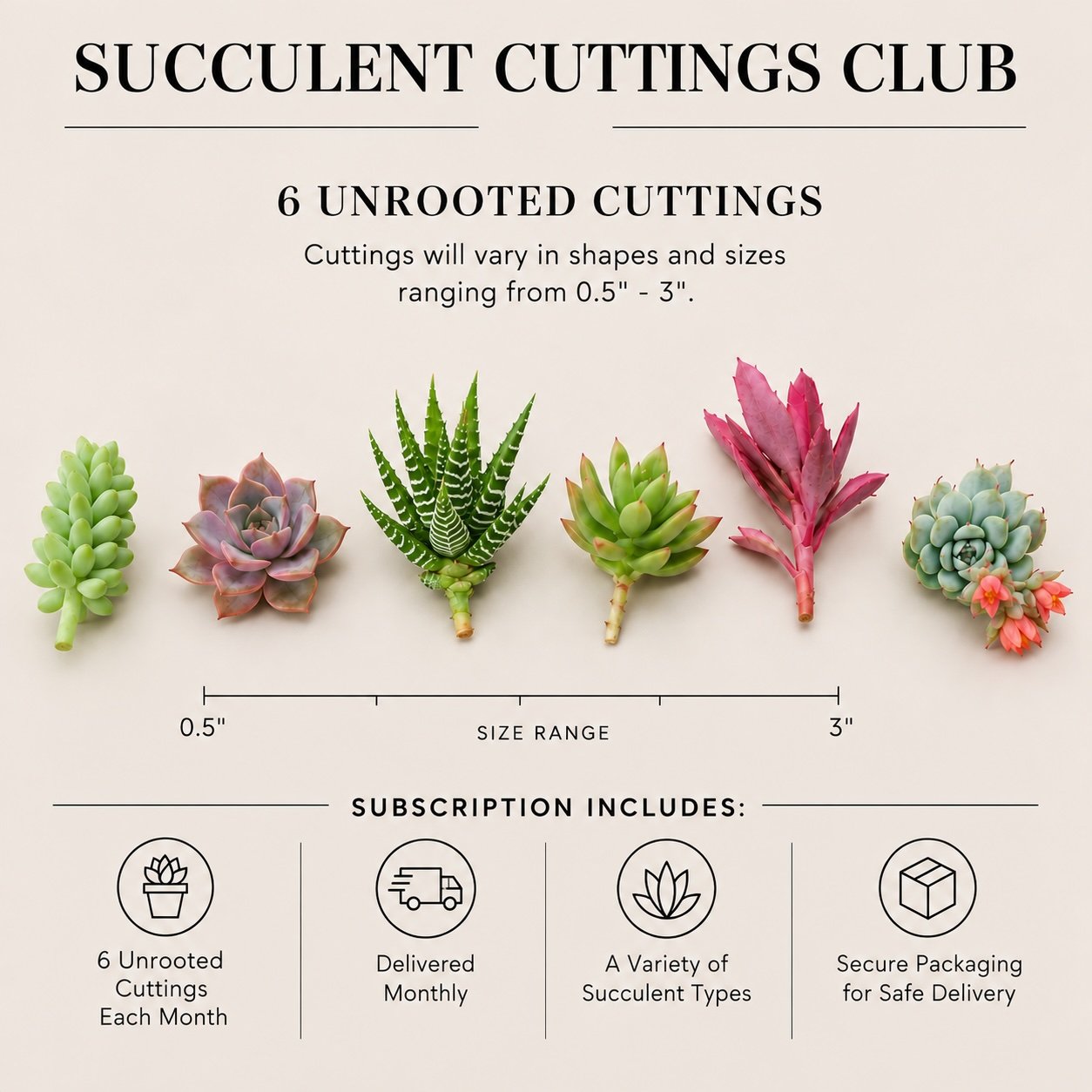 Cuttings Club Specs.jpg