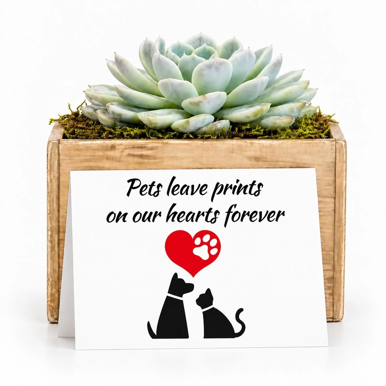 Pets leave prints - Potted.jpg