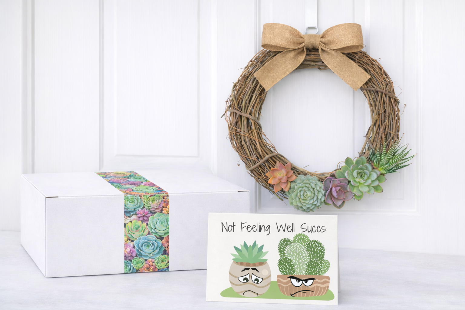 Get Well Soon Gifts | Succulent Gifts | Plant Lover Gifts