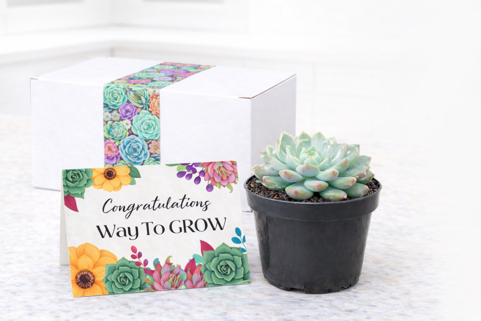 Single Way to grow.png