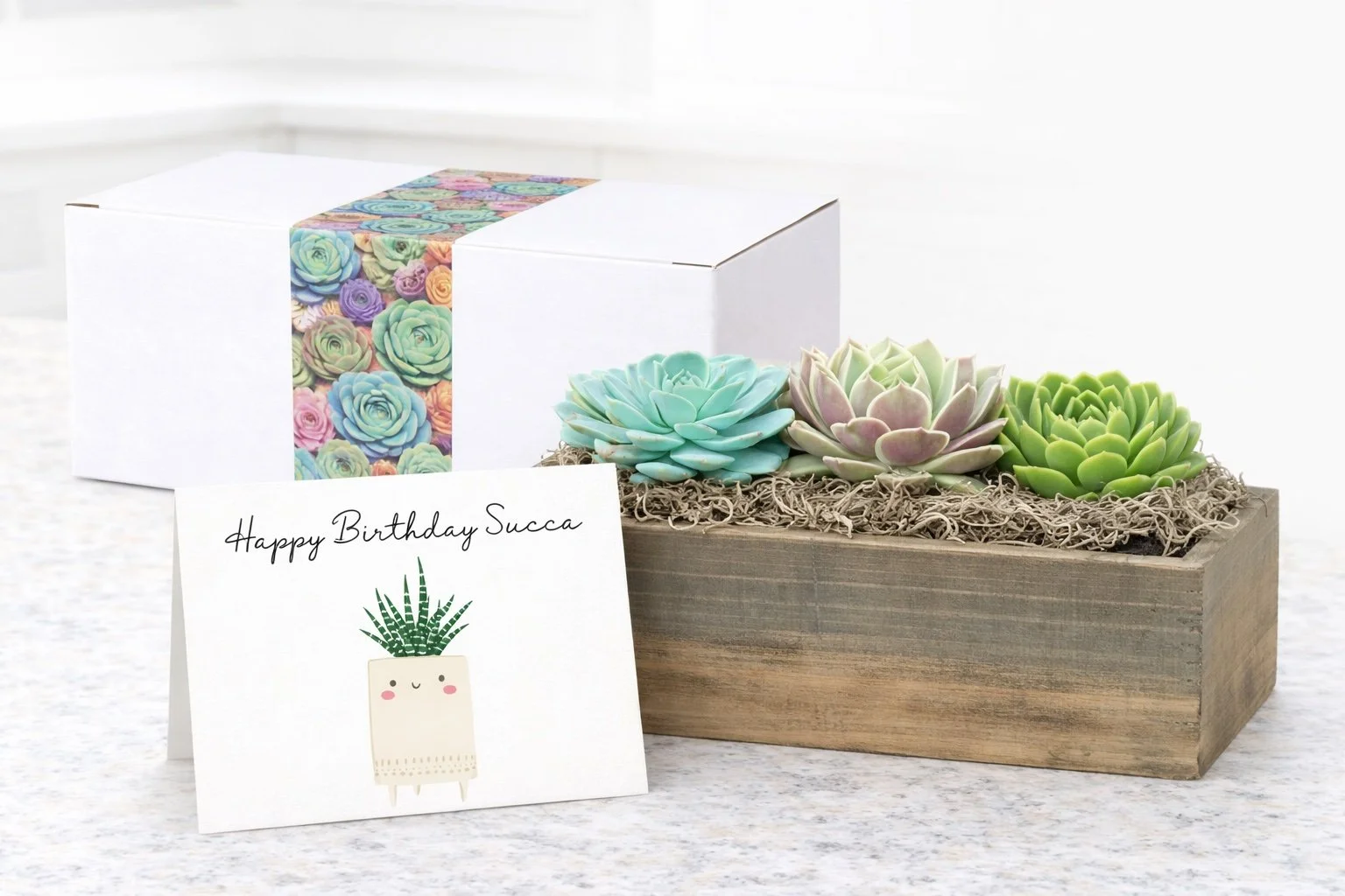 Happy Birthday Succa | Succulent Gift & Personalized Card
