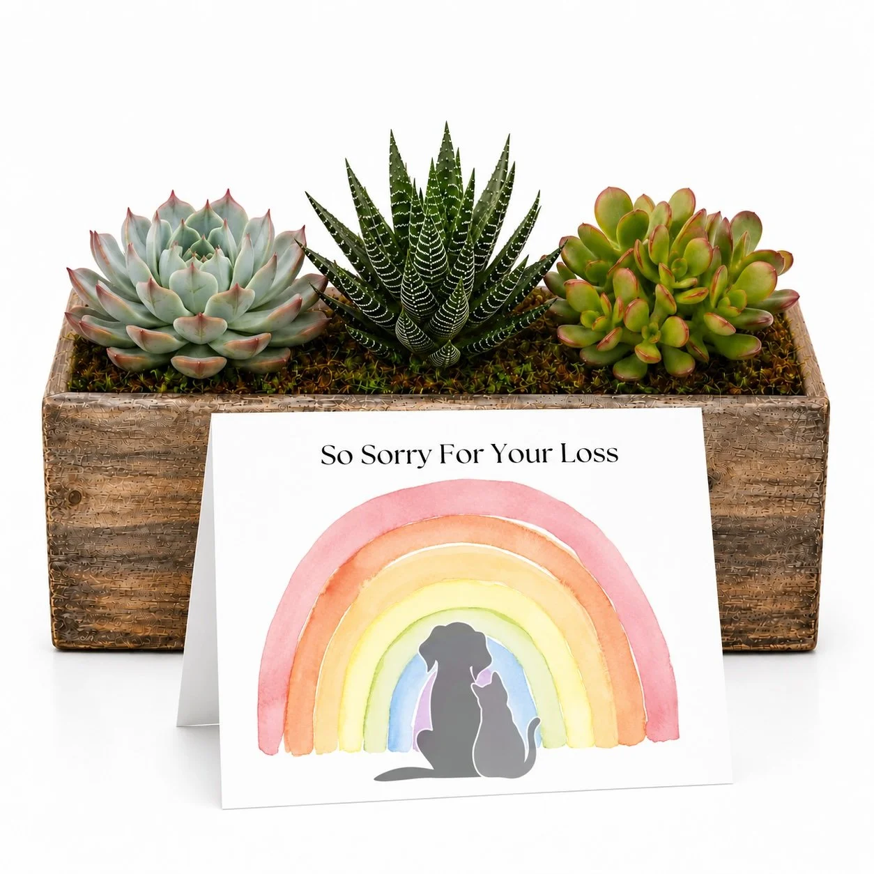 Sorry for loss pet - Arrangement.jpg
