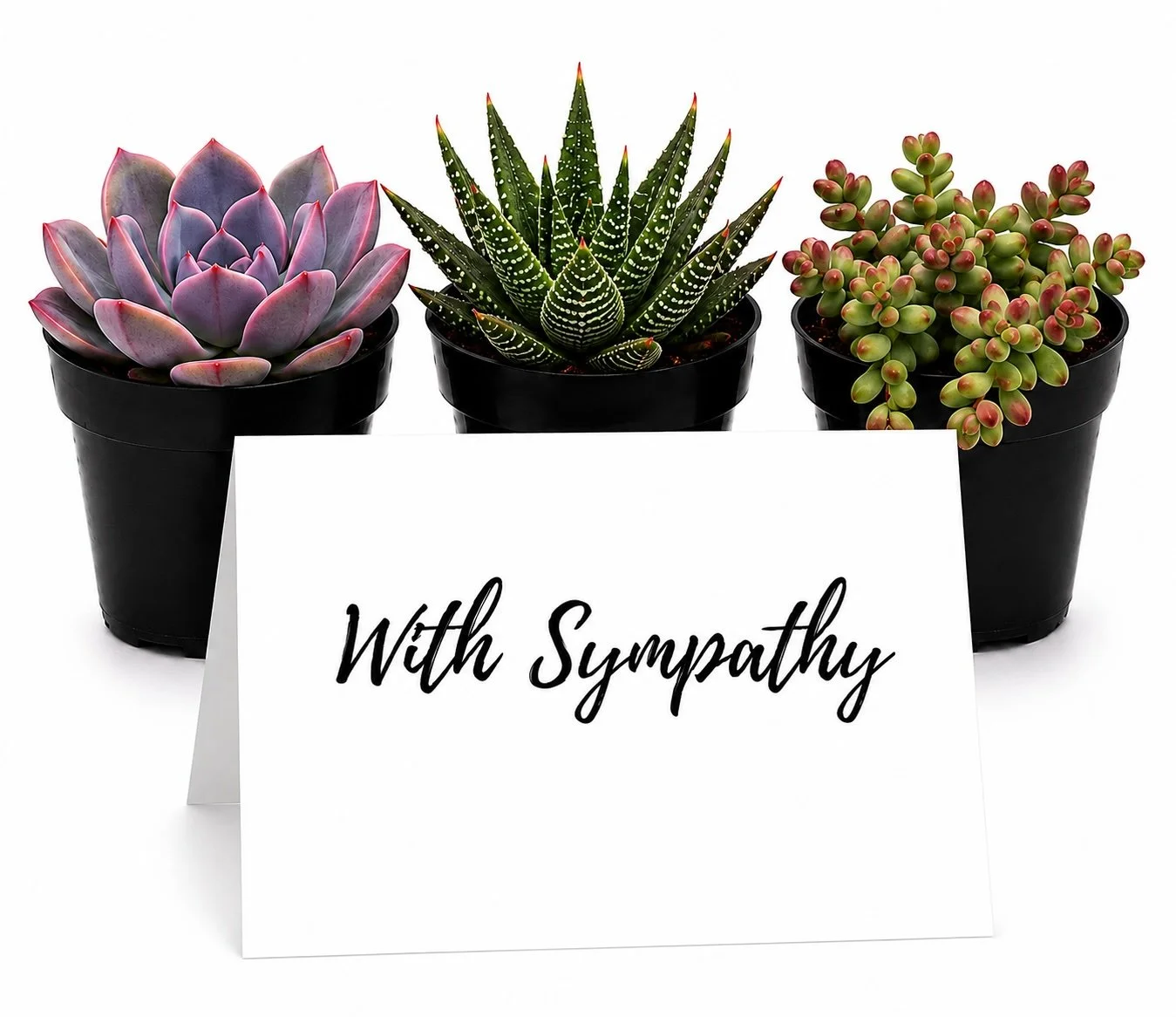 With Sympathy - trio.jpg