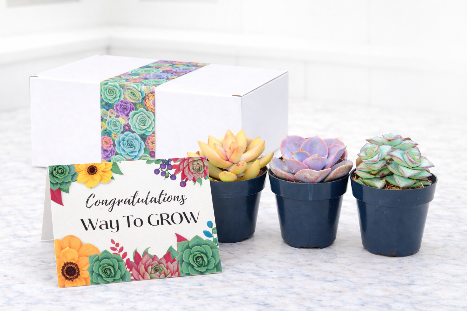 Assorted Way to grow.png