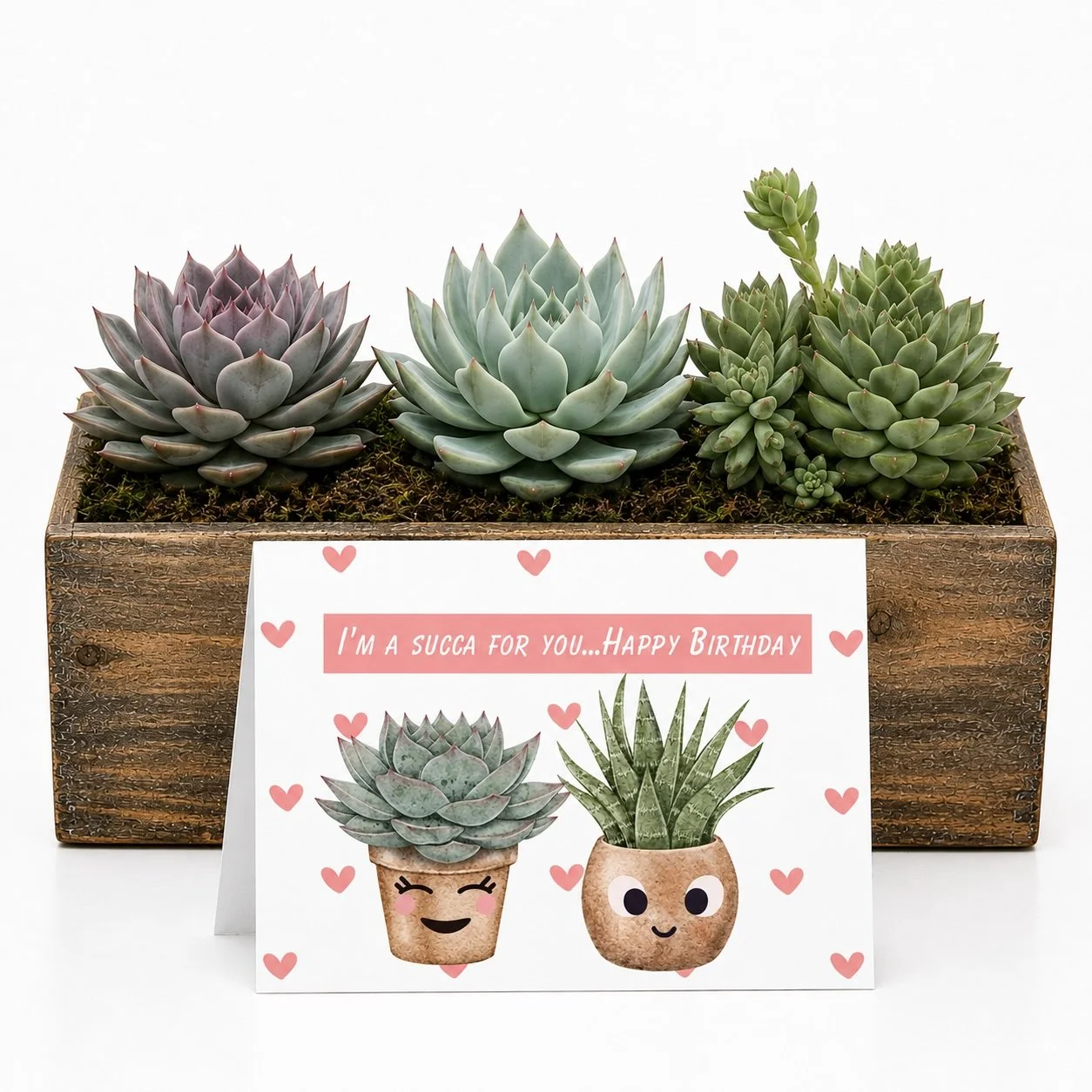 Succa for you bday -arrangemen .jpg