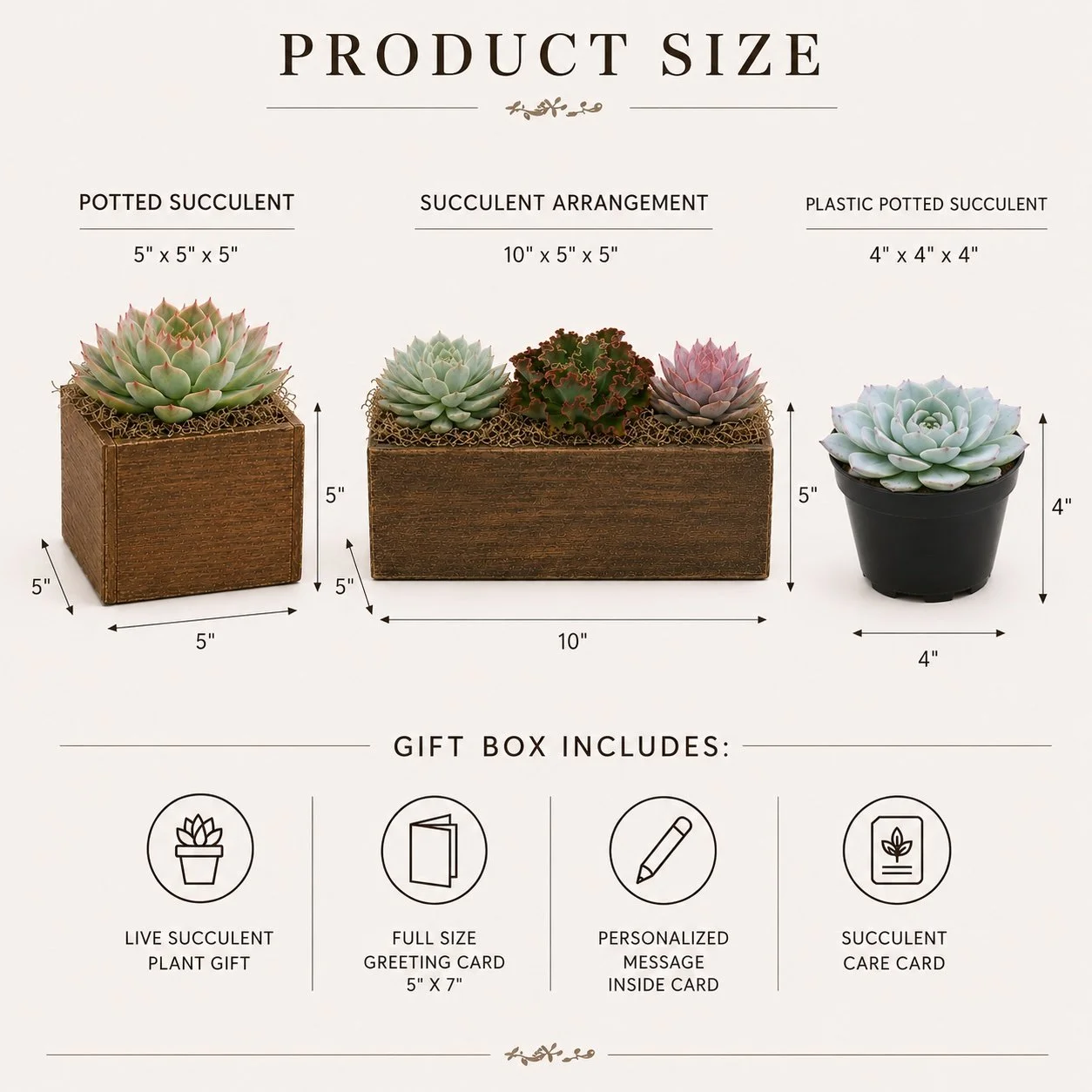 Product Size.jpg (Copy)
