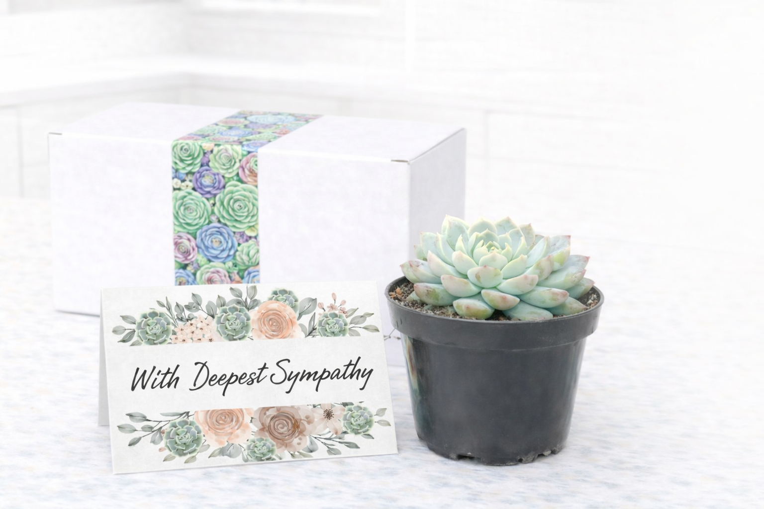 Single Deepest Sympathy.png