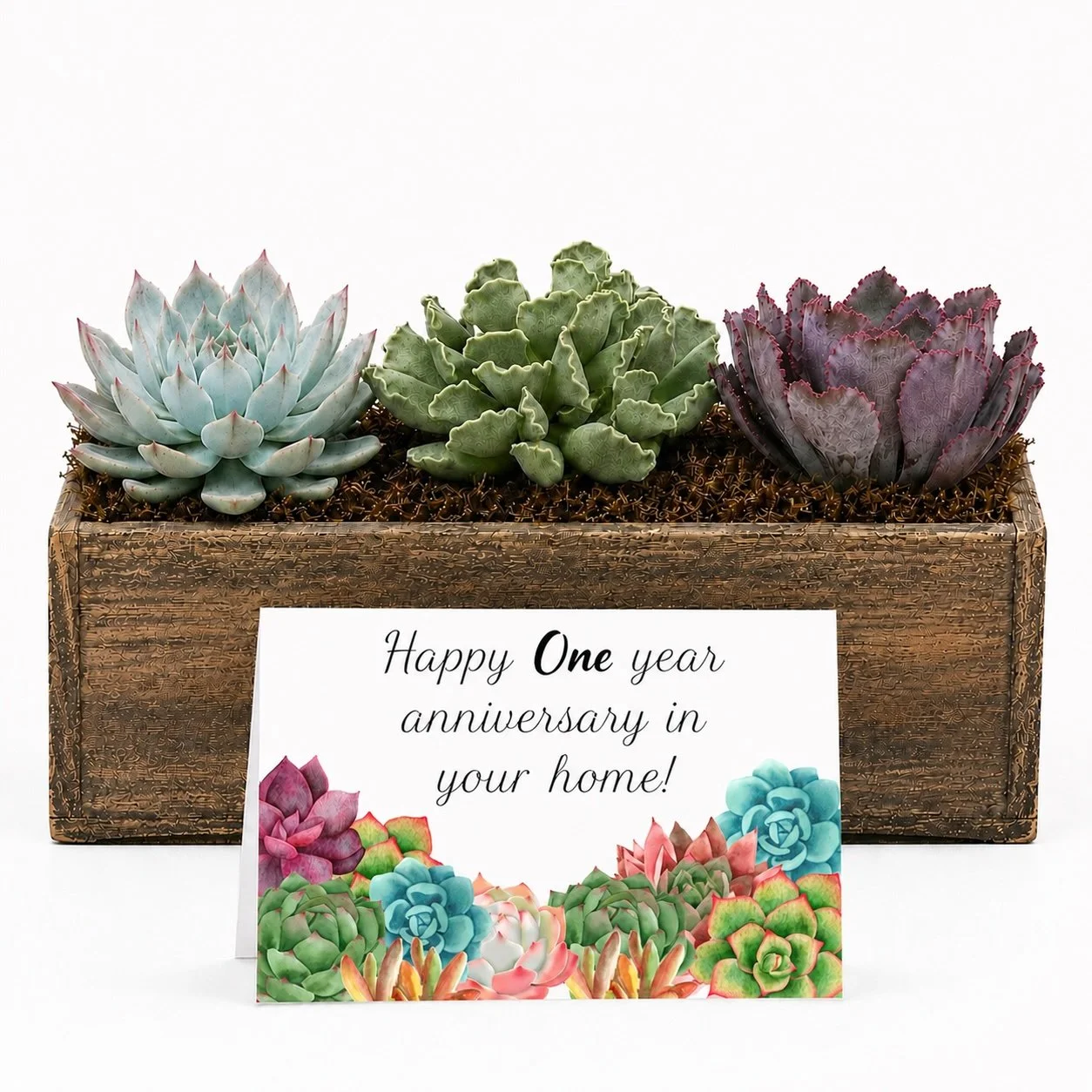 Arrange Happy one year.jpg