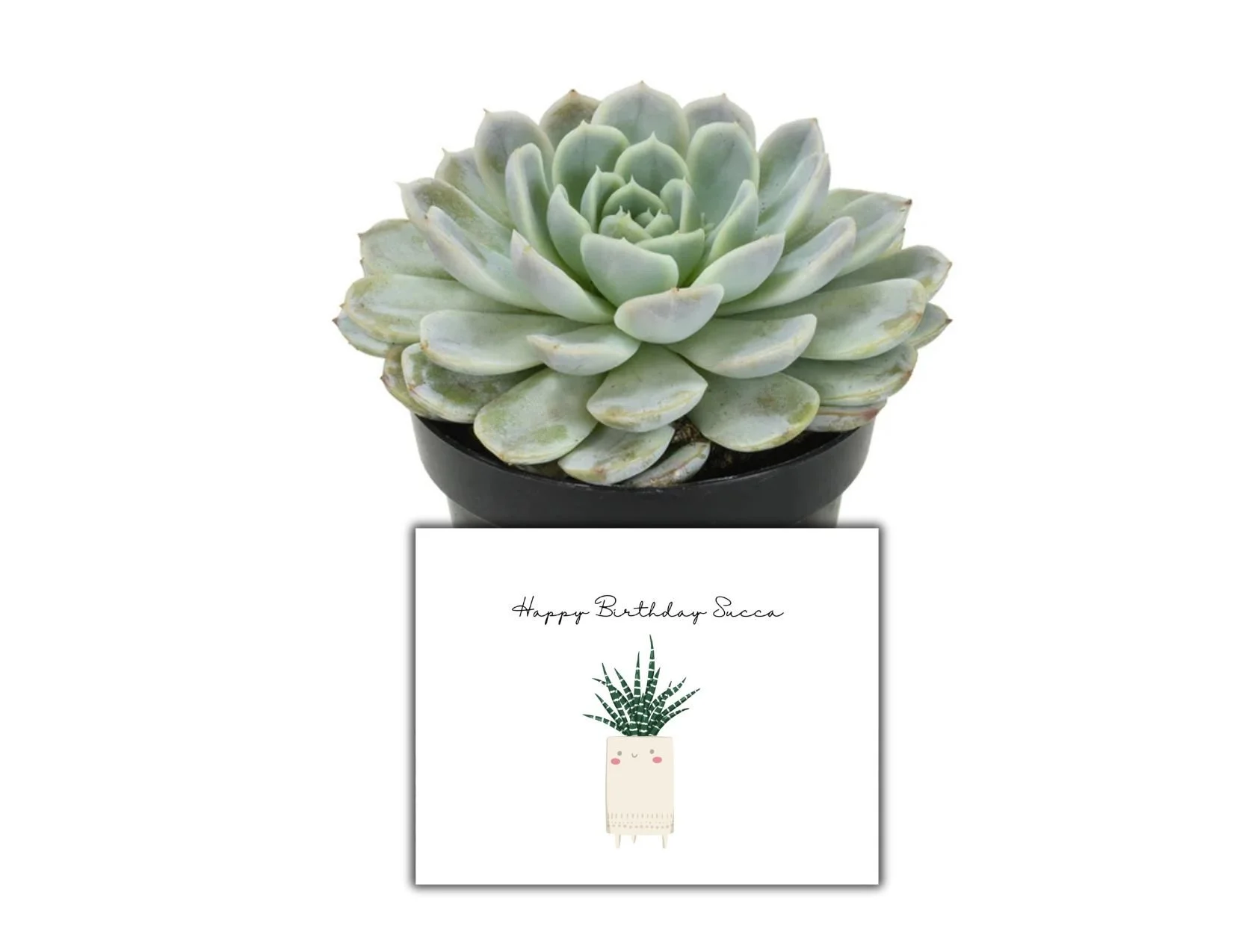 Happy Bday succa.jpg