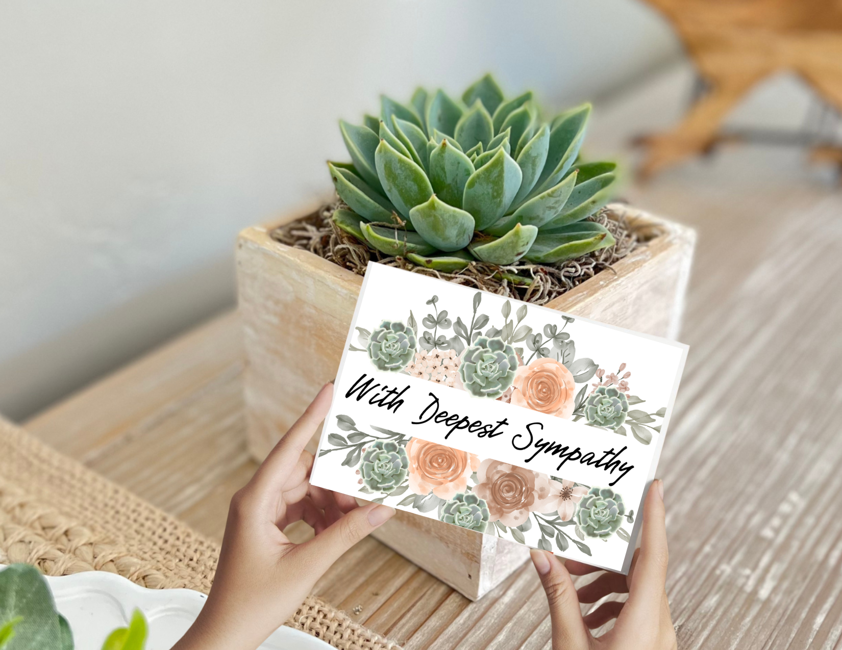 Thoughtful Sympathy Gift Ideas: Send A Live Succulent Gift! 