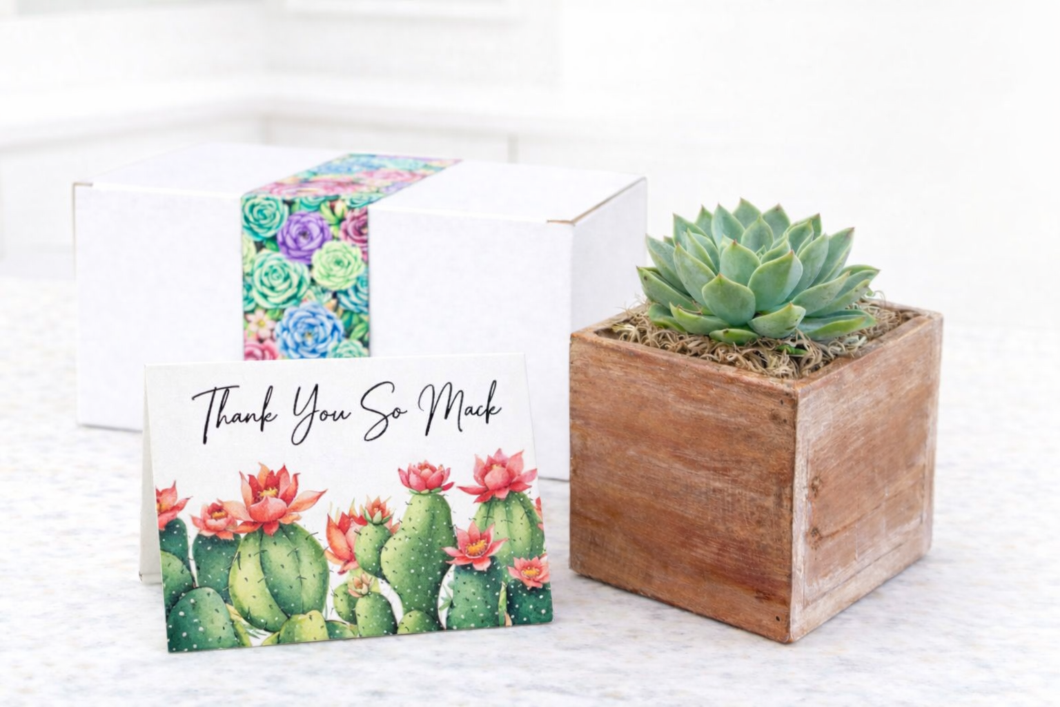 Potted Thanks so much.png