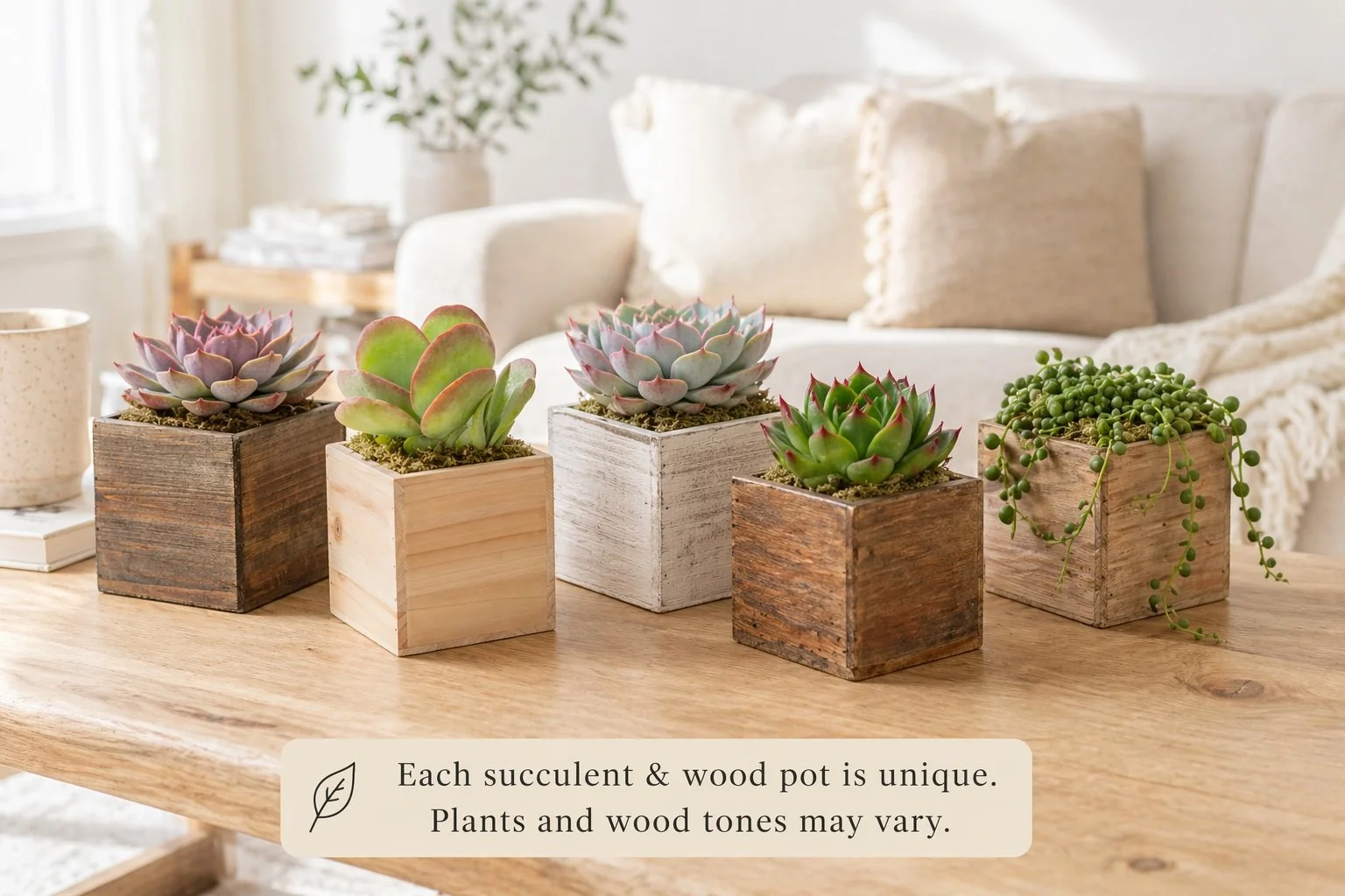 Mock up Wood Pot 2.jpg