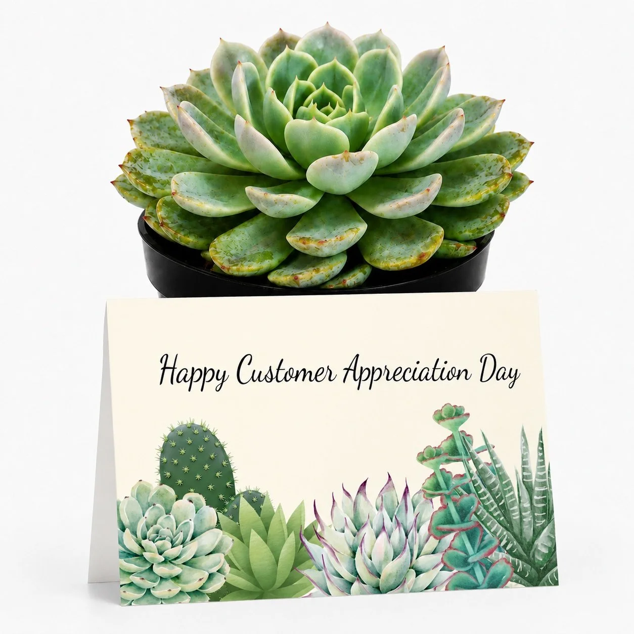 PP Happy customer day.jpg