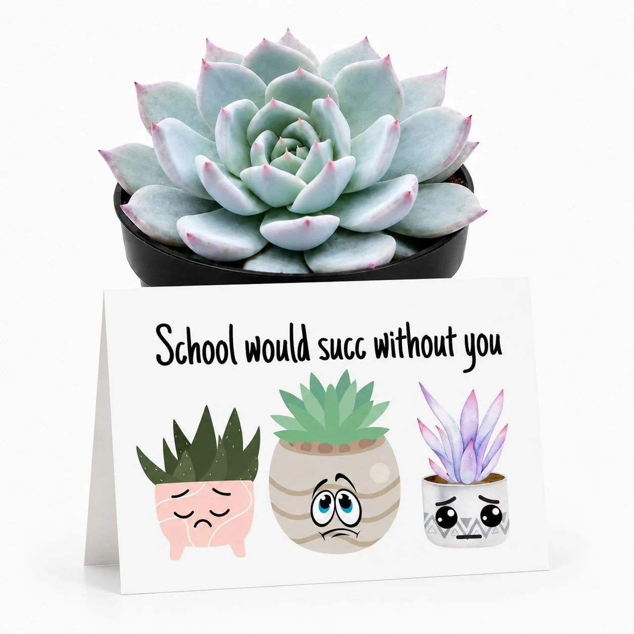 PP - School would succ.jpg