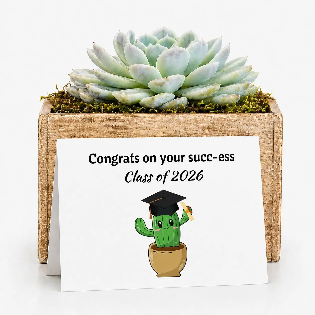 graduation 2026.jpg
