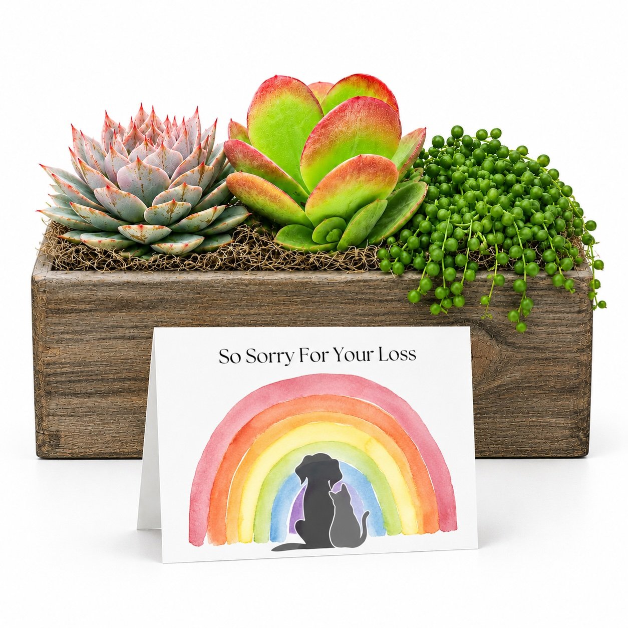 Arrangement pet loss.jpg