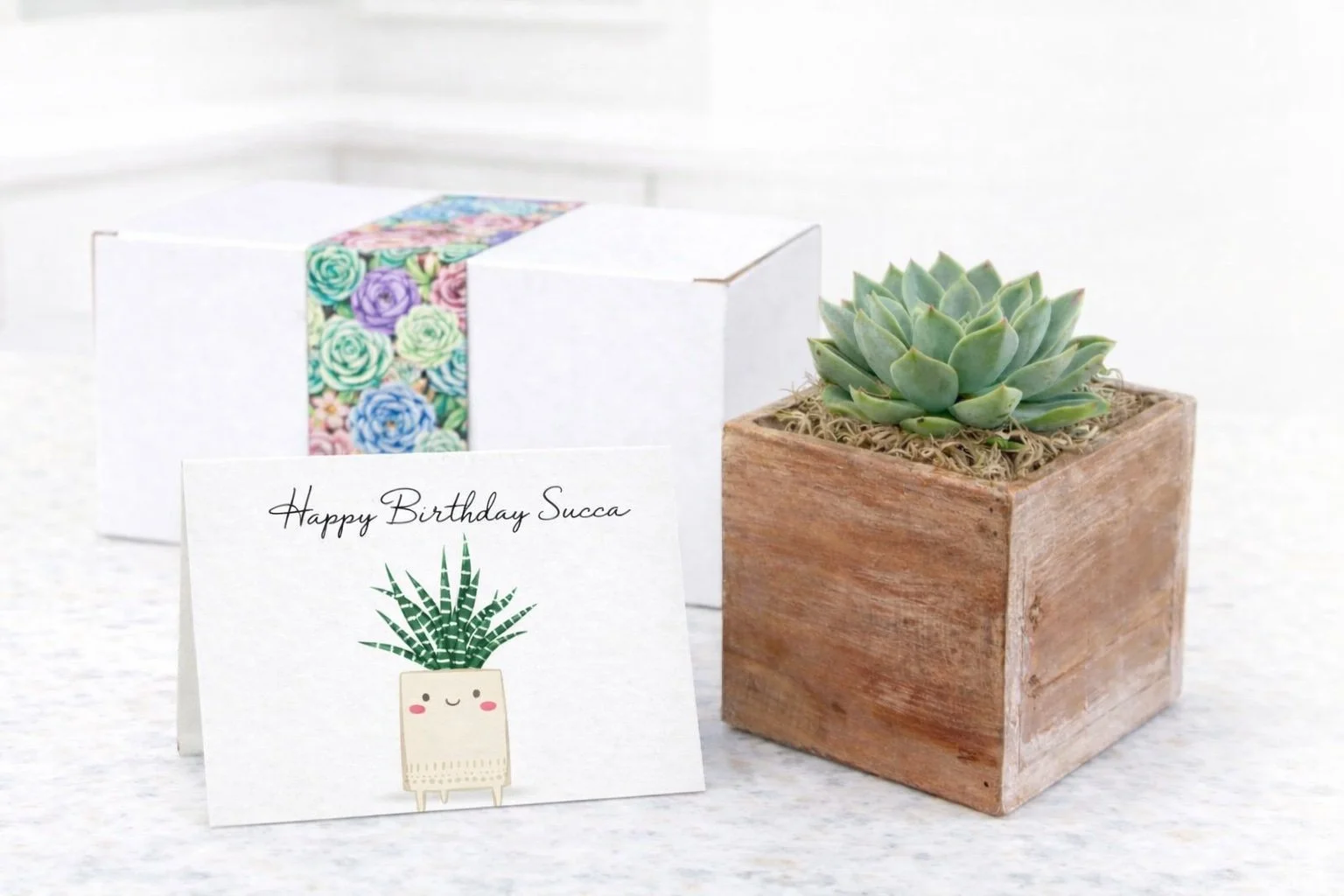 WP - Happy Bday Succa.jpg