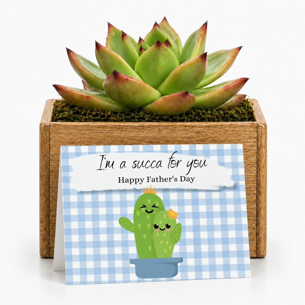 Im a succa for you.jpg