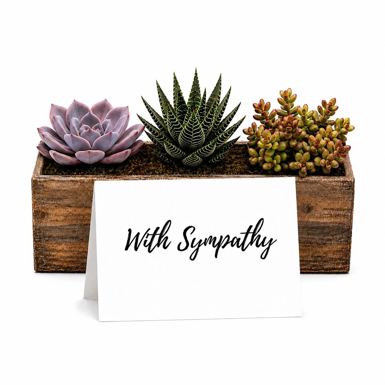 With Sympathy - Arrangement 2.jpg