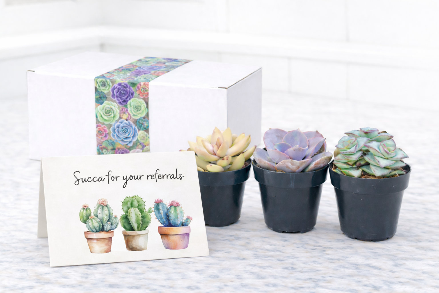 Assort Succa Referrals.png