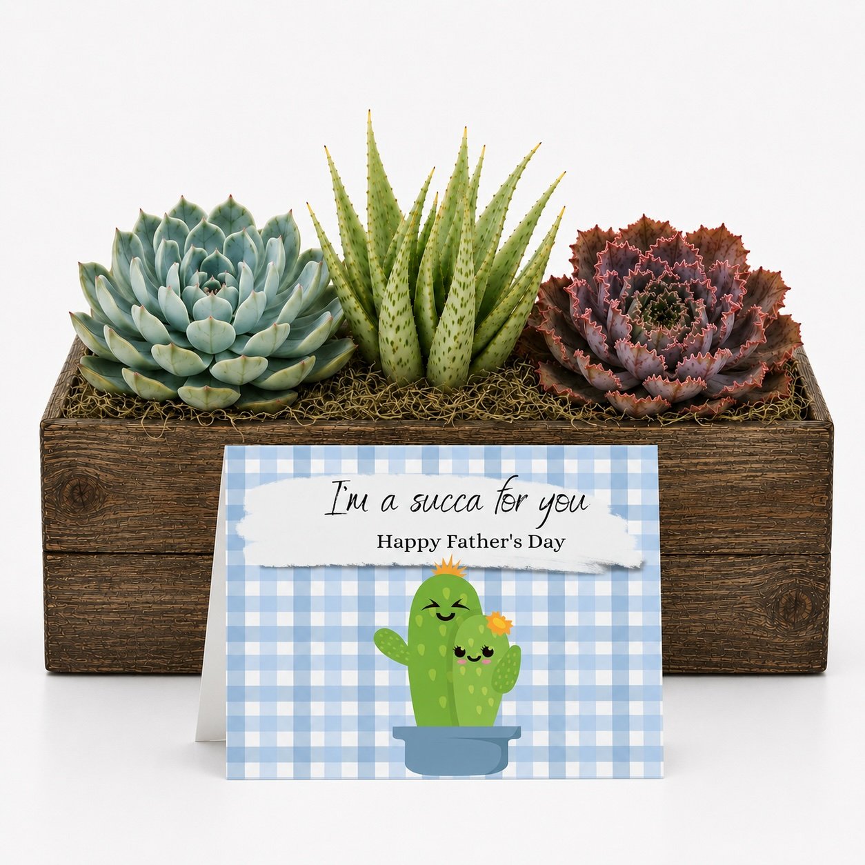 Arrangement Succa for you.jpg