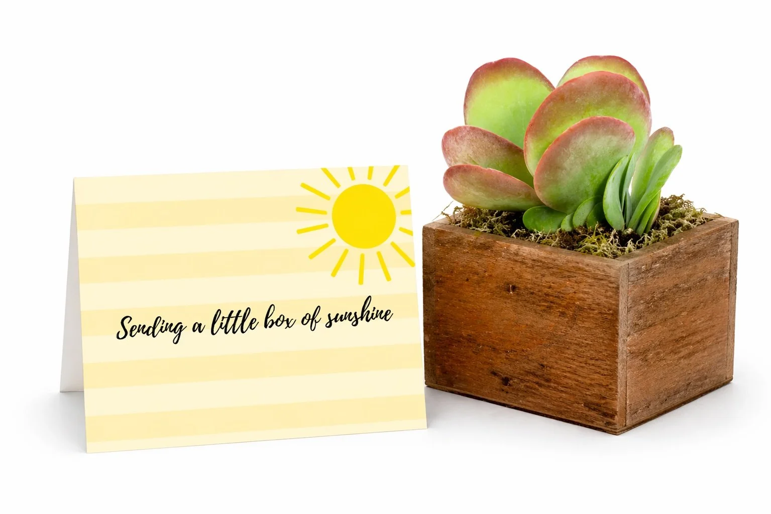 sending sunshine.jpg