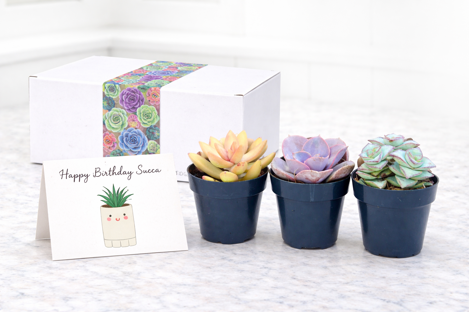 A3 - Happy bday succa.png