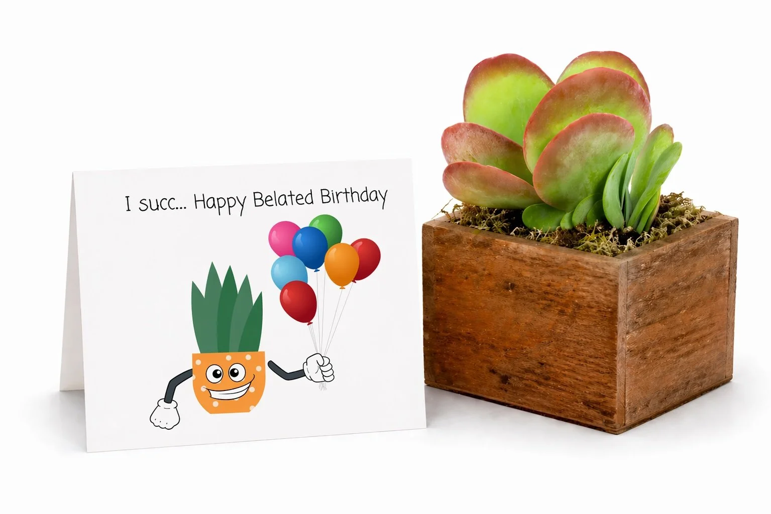 Belated Birthday Gift | I Succ...Happy Belated Birthday | Succulent and Card