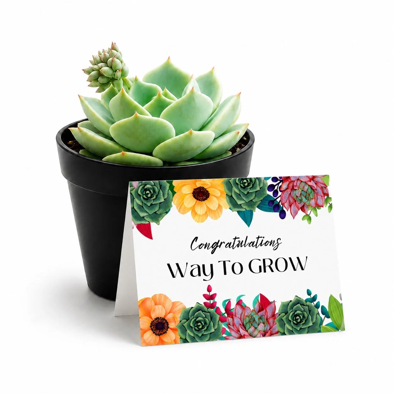 PP Congrats way to grow.jpg