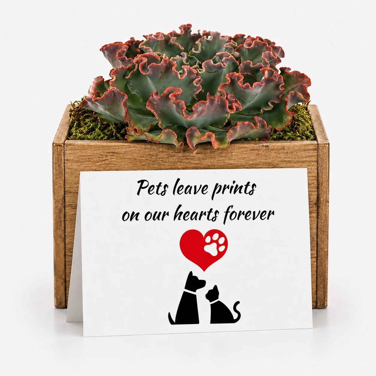 Pet Prints.jpg